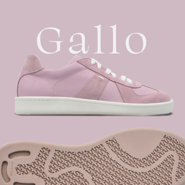 GOMMUS-Gallo